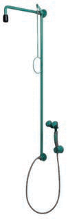 Classic line shower with integrated hand held eye wash